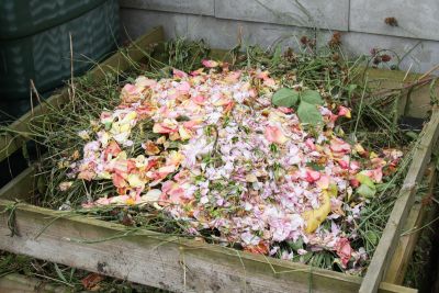 Rosenblüten auf dem Kompost