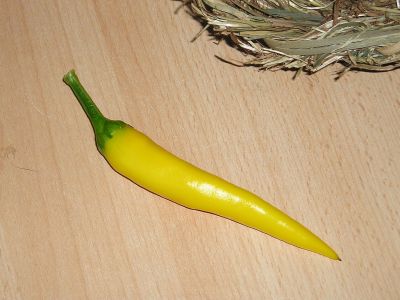 Chili Sarit Gat reife Schote