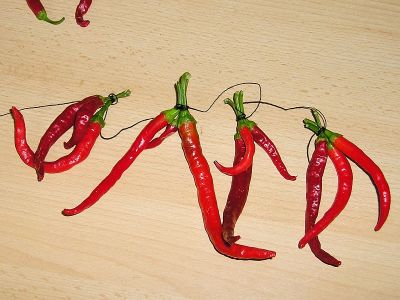 Auffädeln der Chili-Ristra