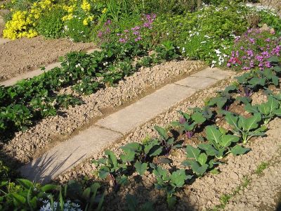 Beete im Garten