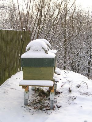 Dadantbeuten im Schnee