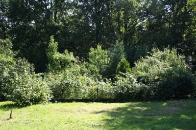 Blick von oben