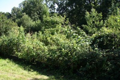 Blick von oben links