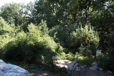 Blick von oben rechts