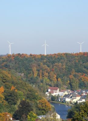 Blick über Waldheim