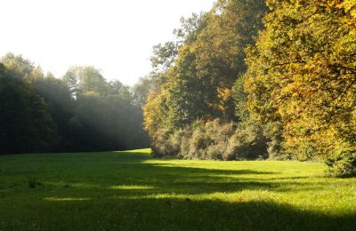 Der letzte Sonnenschein