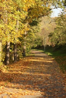 Herbstfarben