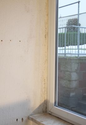 Schimmel im Wintergarten (beim Auszug)
