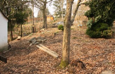Garten im März 2011
