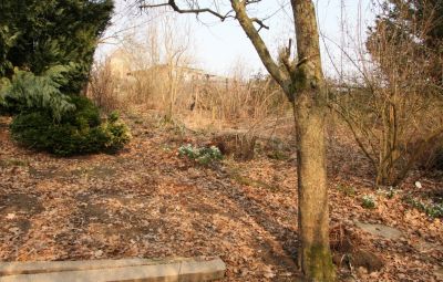 Garten im März 2011