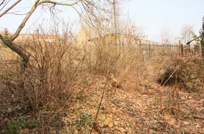 Garten im März 2011