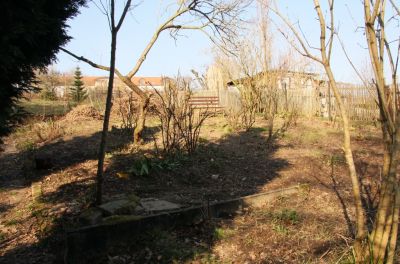 Rückschnitt Garten März 2011