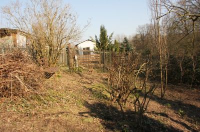 Rückschnitt Garten März 2011