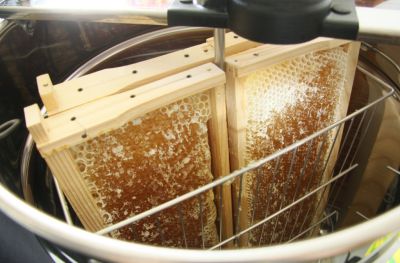 Honigwaben in Schleuder