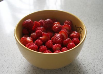 Erste Erdbeeren