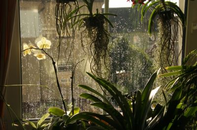 Wie Diamanten am Fenster...