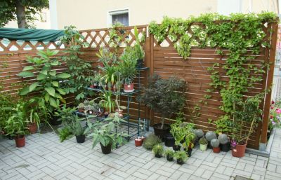 Spitzplatz rechte Seite 12.07.2011
