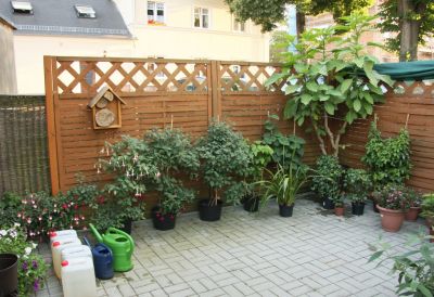 Spitzplatz linke Seite 12.07.2011