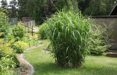 Schöne Gartengestaltung