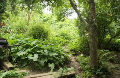 Garten im August 2011