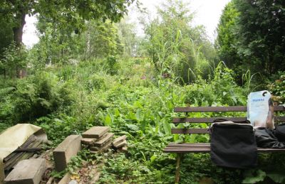 Garten im August 2011