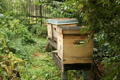 Bienenbeuten im Garten