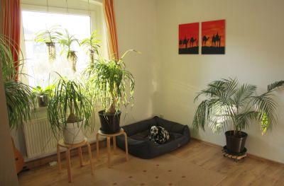 Frühling im Wohnzimmer