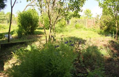 Rundgang im Garten