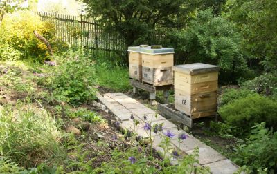 Bienenstand im Garten