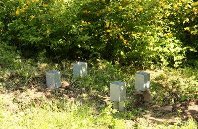 Geplanter Bienenstand