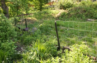 Wildzaun im Garten