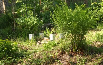 Geplanter Bienenstand