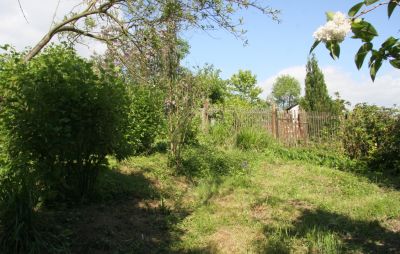Rundgang im Garten