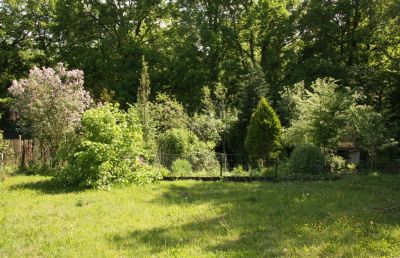 Blick auf unseren Garten