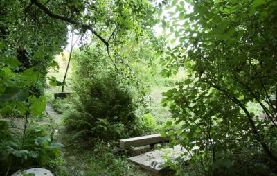 Blick nach oben