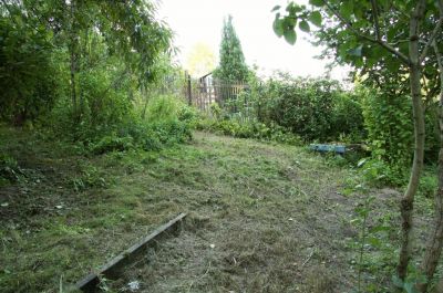 Blick in den Garten