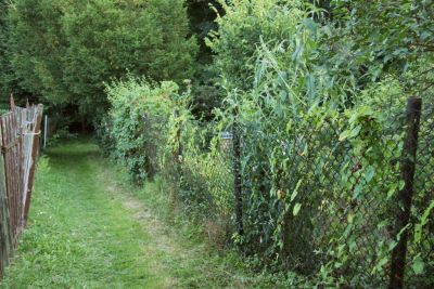 Weg zum Garten