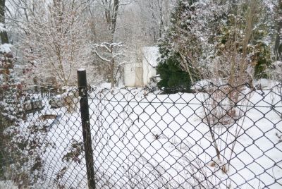 Eingeschneiter Garten