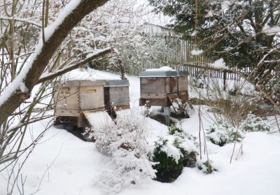 Bienenbeuten im Schnee