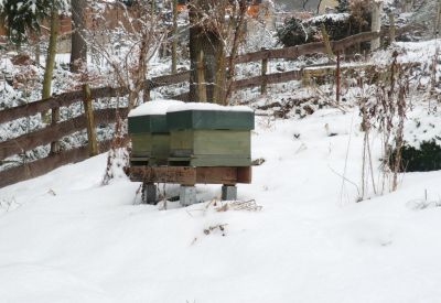 10er Dadantbeuten im Schnee