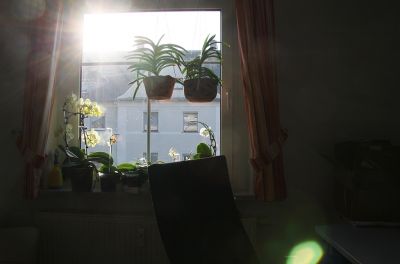 Endlich Frühling