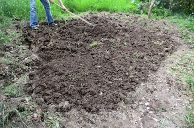Kartoffelbeet hacken