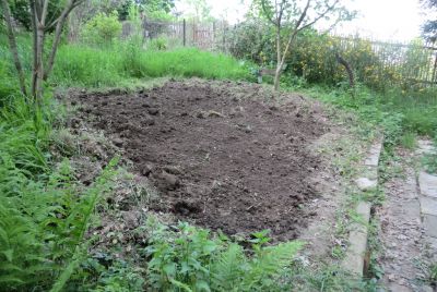 Kartoffelbeet fertig