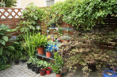 Rechte Seite