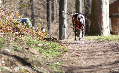 Langer Frühlingsspaziergang