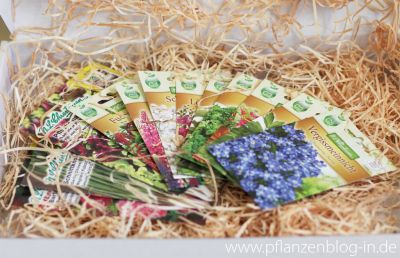 Samenpaket von OBI