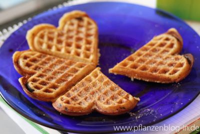 Honigwaffeln mit Zimt-Zucker