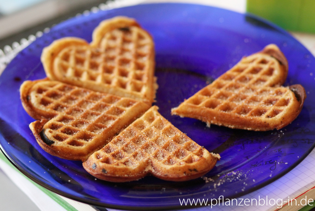 Honigwaffeln mit Zimt-Zucker - Rezept » Majas Pflanzenblog