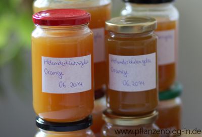Holunderblütengelee mit Orange