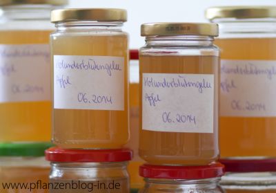 Holunderblütengelee mit Apfel